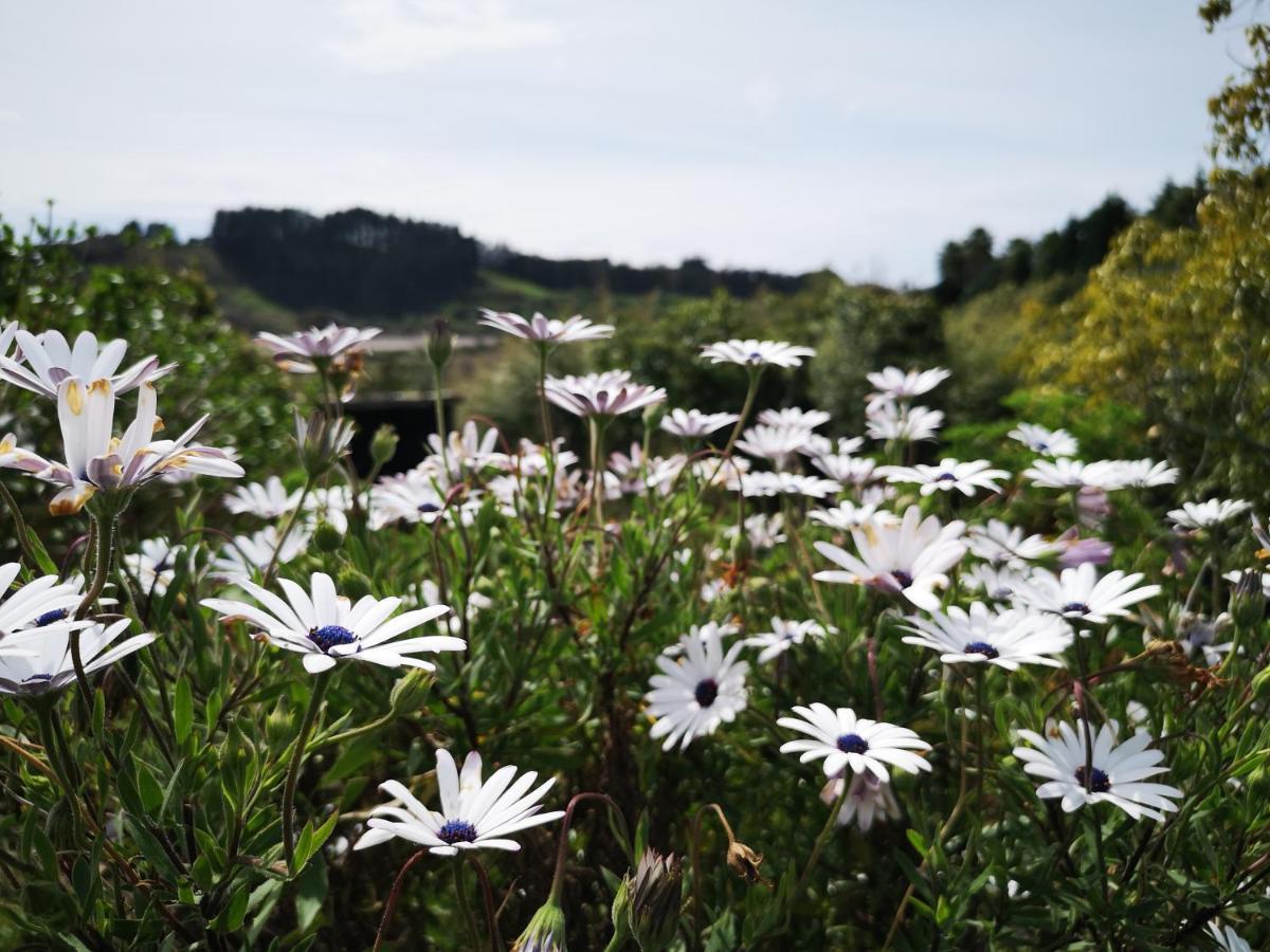 River Side Lodge Whakamarama Экстерьер фото