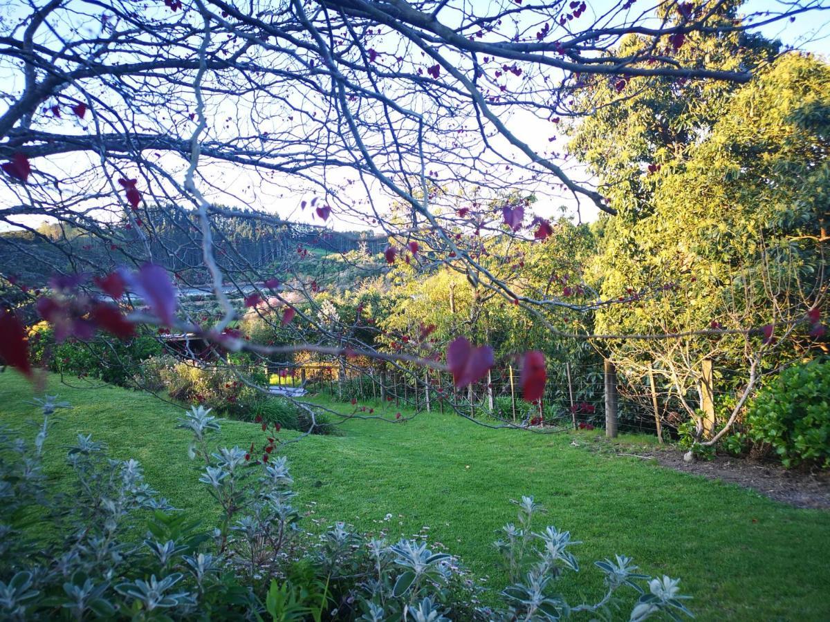 River Side Lodge Whakamarama Экстерьер фото
